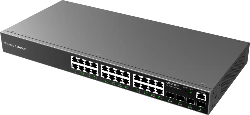 switch Poe 24