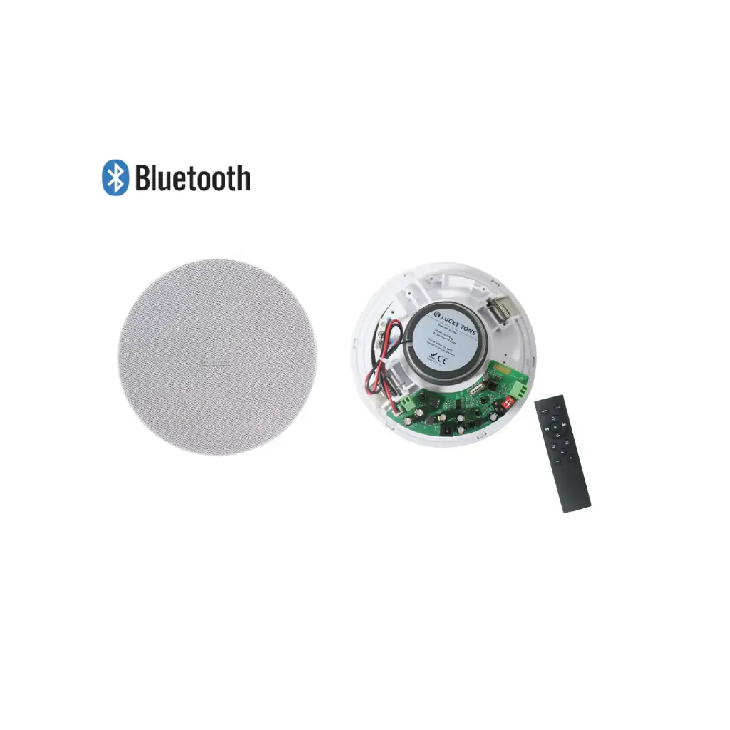 Bluetooth Ceiling Speaker (40w) 