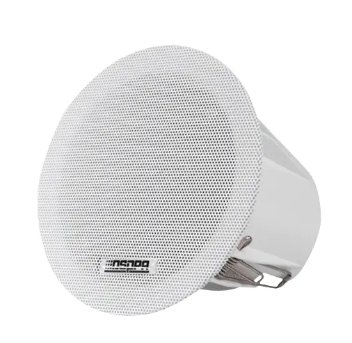 DSP3011C - 3" - 6W